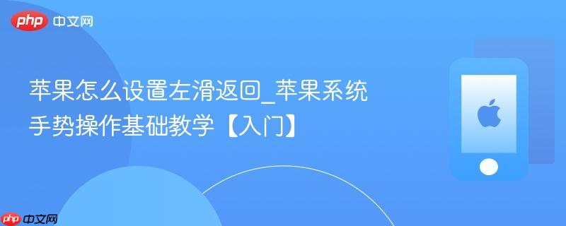 苹果怎么设置左滑返回_苹果系统手势操作基础教学【入门】