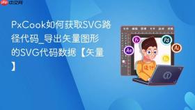 PxCook如何获取SVG路径代码_导出矢量图形的SVG代码数据【矢量】