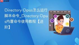 directory opus怎么运行脚本命令_directory opus内置命令使用教程【进阶】