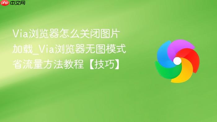 via浏览器怎么关闭图片加载_via浏览器无图模式省流量方法教程【技巧】