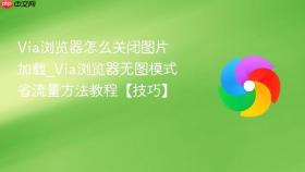 via浏览器怎么关闭图片加载_via浏览器无图模式省流量方法教程【技巧】