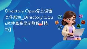 directory opus怎么设置文件颜色_directory opus文件高亮显示教程【技巧】