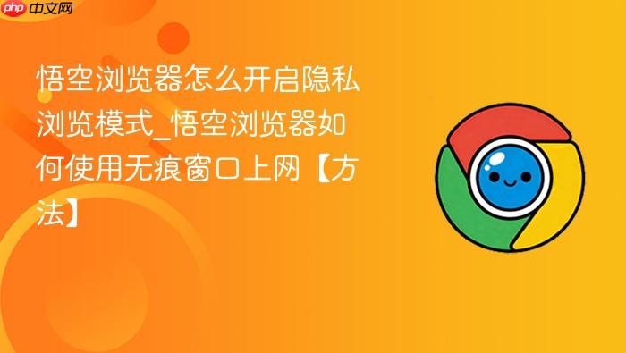 悟空浏览器怎么开启隐私浏览模式_悟空浏览器如何使用无痕窗口上网【方法】