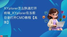 XYplorer怎么快速打开终端_XYplorer在当前目录打开CMD教程【高效】