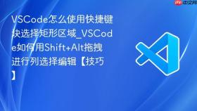 vscode怎么使用快捷键块选择矩形区域_vscode如何用shift+alt拖拽进行列选择编辑【技巧】