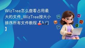wiztree怎么查看占用最大的文件_wiztree按大小排序所有文件教程【入门】