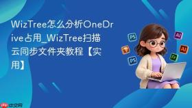 wiztree怎么分析onedrive占用_wiztree扫描云同步文件夹教程【实用】