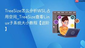 TreeSize怎么分析WSL占用空间_TreeSize查看Linux子系统大小教程【进阶】