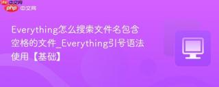 Everything怎么搜索文件名包含空格的文件_Everything引号语法使用【基础】