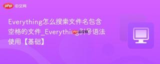 everything怎么搜索文件名包含空格的文件_everything引号语法使用【基础】