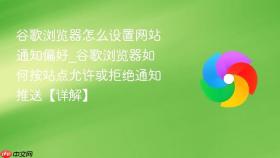 谷歌浏览器怎么设置网站通知偏好_谷歌浏览器如何按站点允许或拒绝通知推送【详解】