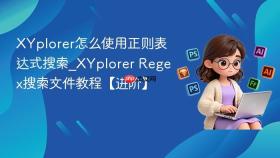 xyplorer怎么使用正则表达式搜索_xyplorer regex搜索文件教程【进阶】