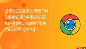谷歌浏览器怎么清除dns缓存记录_谷歌浏览器如何刷新dns解析修复访问异常【技巧】