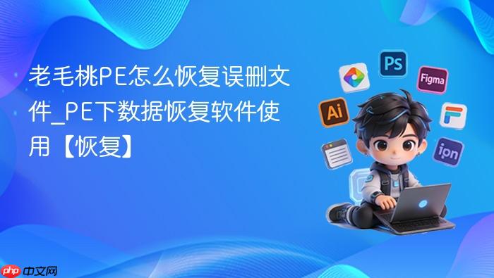 老毛桃pe怎么恢复误删文件_pe下数据恢复软件使用【恢复】