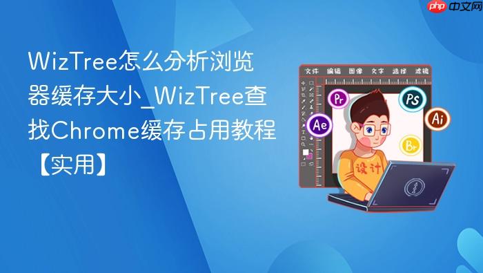 wiztree怎么分析浏览器缓存大小_wiztree查找chrome缓存占用教程【实用】