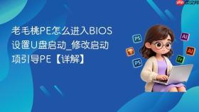 老毛桃pe怎么进入bios设置u盘启动_修改启动项引导pe【详解】