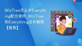WizTree怎么与Everything配合使用_WizTree和Everything互补教程【推荐】