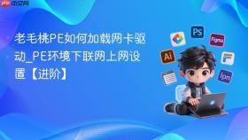 老毛桃PE如何加载网卡驱动_PE环境下联网上网设置【进阶】