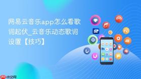 网易云音乐app怎么看歌词起伏_云音乐动态歌词设置【技巧】