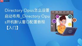 directory opus怎么设置启动布局_directory opus开机默认窗口配置教程【入门】