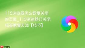 115浏览器怎么恢复关闭的页面_115浏览器已关闭标签恢复方法【技巧】