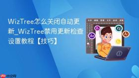 wiztree怎么关闭自动更新_wiztree禁用更新检查设置教程【技巧】