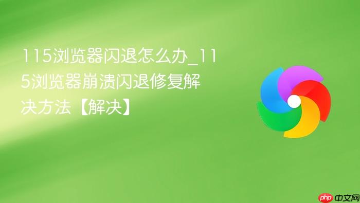 115浏览器闪退怎么办_115浏览器崩溃闪退修复解决方法【解决】