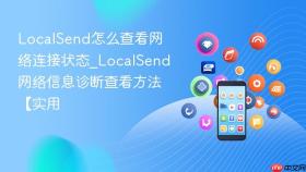 localsend怎么查看网络连接状态_localsend网络信息诊断查看方法【实用