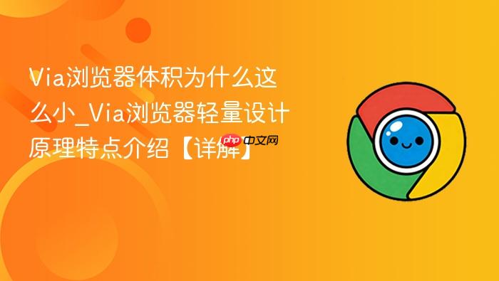 via浏览器体积为什么这么小_via浏览器轻量设计原理特点介绍【详解】