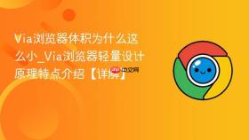 via浏览器体积为什么这么小_via浏览器轻量设计原理特点介绍【详解】