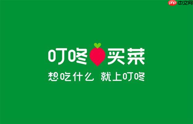 叮咚买菜如何使用支付宝支付下单_叮咚买菜支付宝支付下单总结