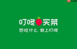 叮咚买菜如何使用支付宝支付下单_叮咚买菜支付宝支付下单总结