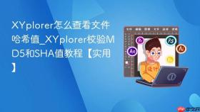 XYplorer怎么查看文件哈希值_XYplorer校验MD5和SHA值教程【实用】