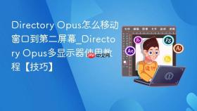 directory opus怎么移动窗口到第二屏幕_directory opus多显示器使用教程【技巧】