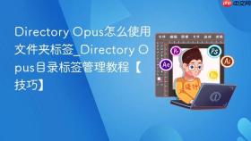directory opus怎么使用文件夹标签_directory opus目录标签管理教程【技巧】