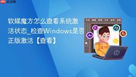 软媒魔方怎么查看系统激活状态_检查windows是否正版激活【查看】