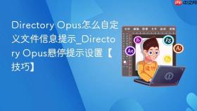 directory opus怎么自定义文件信息提示_directory opus悬停提示设置【技巧】