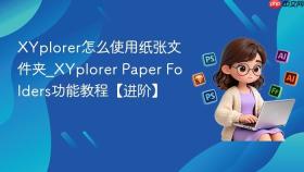 XYplorer怎么使用纸张文件夹_XYplorer Paper Folders功能教程【进阶】