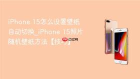 iphone 15怎么设置壁纸自动切换_iphone 15照片随机壁纸方法【技巧】