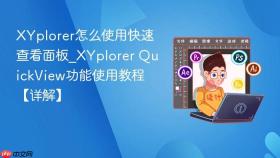 XYplorer怎么使用快速查看面板_XYplorer QuickView功能使用教程【详解】