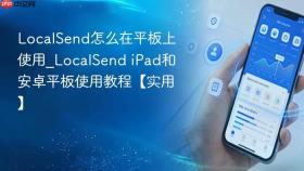 LocalSend怎么在平板上使用_LocalSend iPad和安卓平板使用教程【实用】