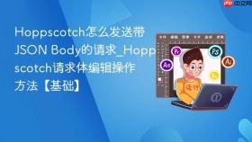 hoppscotch怎么发送带json body的请求_hoppscotch请求体编辑操作方法【基础】