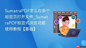 SumatraPDF怎么在多个标签页打开文件_SumatraPDF标签式浏览功能使用教程【基础】