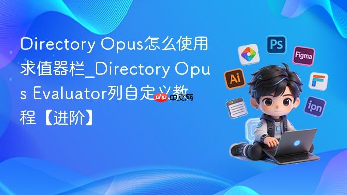 directory opus怎么使用求值器栏_directory opus evaluator列自定义教程【进阶】