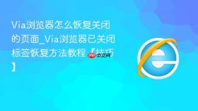 via浏览器怎么恢复关闭的页面_via浏览器已关闭标签恢复方法教程【技巧】