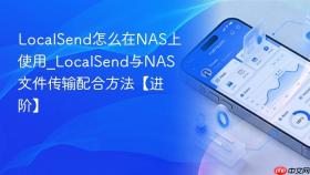 localsend怎么在nas上使用_localsend与nas文件传输配合方法【进阶】