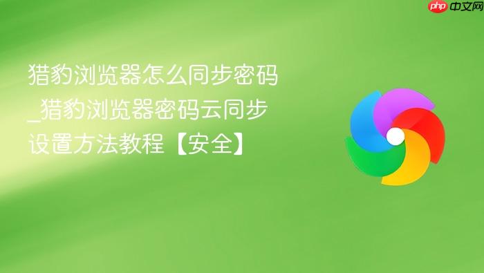 猎豹浏览器怎么同步密码_猎豹浏览器密码云同步设置方法教程【安全】