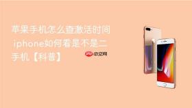 苹果手机怎么查激活时间 iphone如何看是不是二手机【科普】