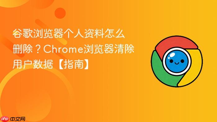 谷歌浏览器个人资料怎么删除?chrome浏览器清除用户数据【指南】