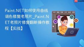 Paint.NET如何使用曲线调色修复老照片_Paint.NET老照片修复翻新操作教程【实战】